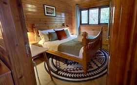 Luxury Wood Lodge With Sauna, Log Burner & Private Woodland Garden - Wnion Wood Lodge